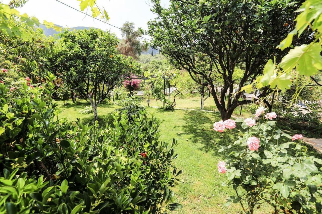 Garden House Kastellani Kastellanoi (Parelioi, Corfu) Exterior foto